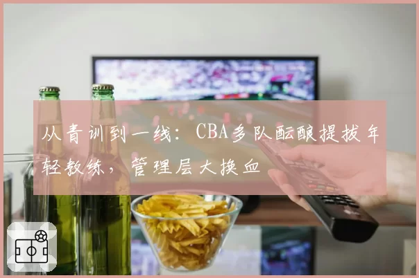从青训到一线:CBA多队酝酿提拔年轻教练,管理层大换血