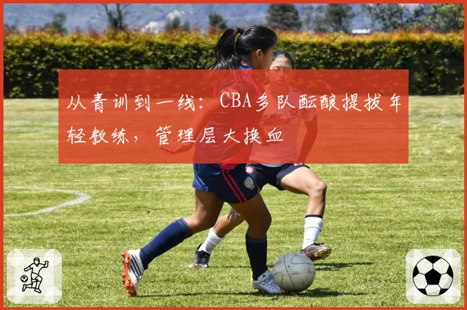 从青训到一线:CBA多队酝酿提拔年轻教练,管理层大换血