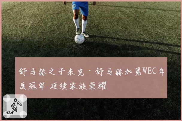 舒马赫之子米克·舒马赫加冕WEC年度冠军 延续家族荣耀