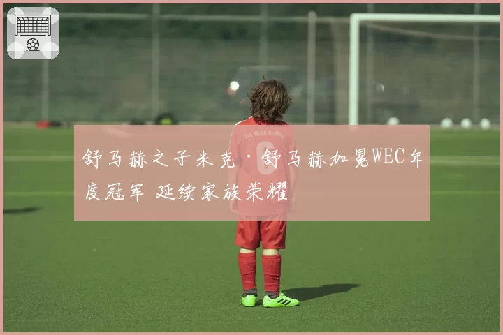 舒马赫之子米克·舒马赫加冕WEC年度冠军 延续家族荣耀
