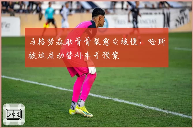 马格努森肋骨骨裂愈合缓慢，哈斯被迫启动替补车手预案