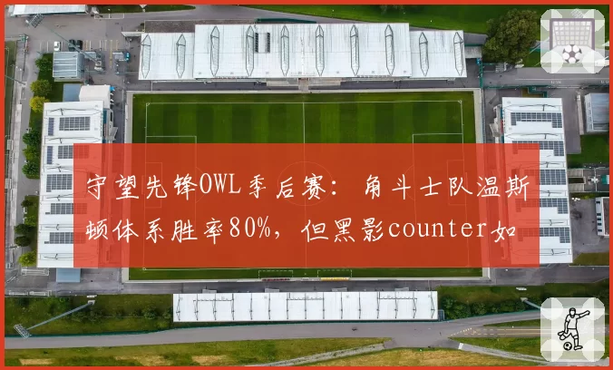 守望先锋OWL季后赛:角斗士队温斯顿体系胜率80%,但黑影counter如何应对?